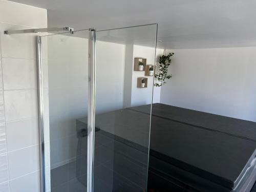 a shower with a glass door in a bathroom at La petite Brainoise - Gîte avec salle jacuzzi 120 jets in Braine