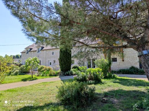 an old stone house with a tree in the foreground at Rêves & Rivière in Rivière