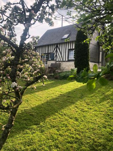 a house with a tree in front of a yard at Gîte 'les matins calmes ' in Cheffreville-Tonnencourt