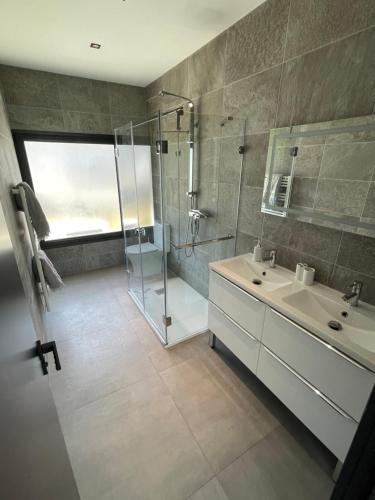 une salle de bain avec douche et lavabo dans l'établissement Villa Blanche, à La Roquette-sur-Siagne
