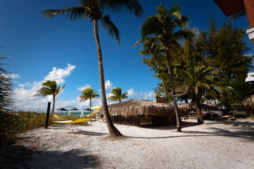 a sandy beach with palm trees and a hut at Cedar Cove Resort & Cottages in Holmes Beach