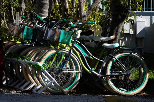 a group of bikes parked next to each other at Cedar Cove Resort & Cottages in Holmes Beach