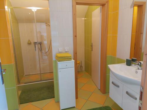 a bathroom with a shower and a sink at Dvoupokojový apartmán s kuchyňským koutem in Kutná Hora