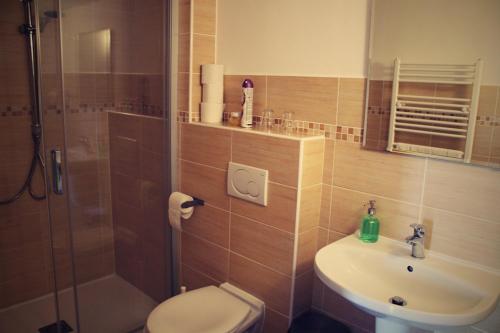 a bathroom with a toilet and a sink and a shower at Vinařský penzion Přední Hora in Velké Bílovice