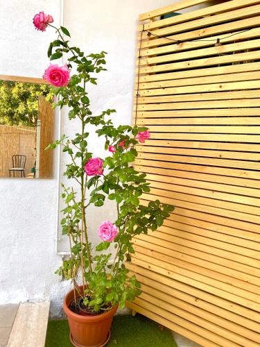 a plant in a pot next to a wooden fence at Villa Elisa in Minturno