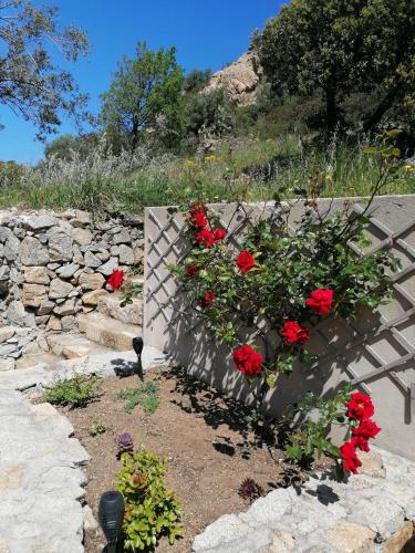 Un jardín fuera de tre castelli