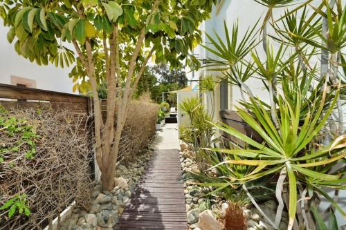 a garden with palm trees and a wooden walkway at SunnyVillas: 4BR Villa☆Private Pool + Jacuzzi - Villa Amelie in Protaras