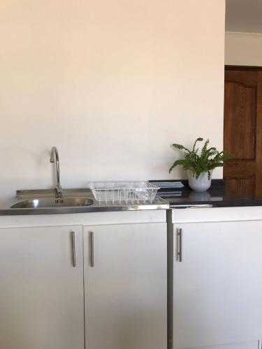 uma cozinha com armários brancos e um lavatório e uma planta em Cabaña de 1 ambiente para hasta 4 personas em Putaendo