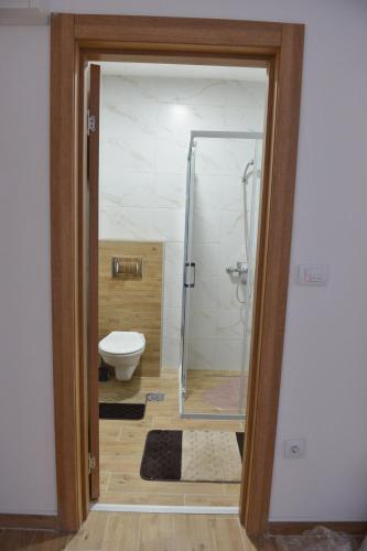 a bathroom with a shower and a toilet at Apartmani Martenovic 1 in Vrnjačka Banja
