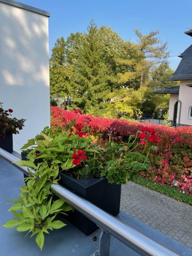 Κήπος έξω από το Lakeview Appartements