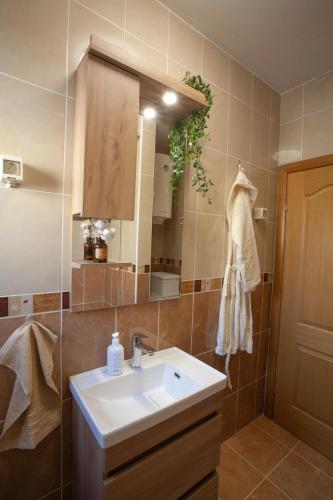 a bathroom with a sink and a mirror at Villa Nova in Đenovići