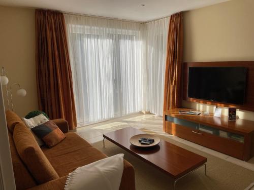uma sala de estar com um sofá e uma televisão em Lakeview Appartements em Zeuthen