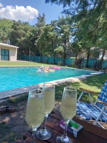 three glasses of wine sitting on a table near a swimming pool at Alojamiento en casa quinta, habitación privada in Cruz del Eje
