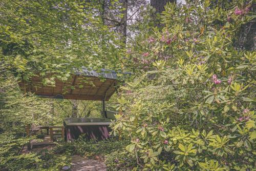 a garden with a bench and a tree at River Breeze Chalet - Meredith Lodging in Rhododendron