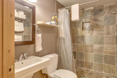 a bathroom with a toilet and a sink and a shower at River Breeze Chalet - Meredith Lodging in Rhododendron