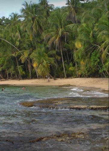 a beach with palm trees and people in the water at Beachfront Paradise in Manuel Antonio