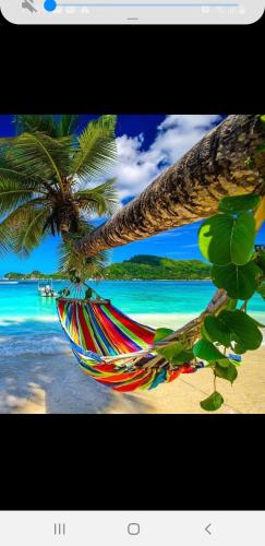 a hammock on a beach with a palm tree at Résidence Kay Mamy Zèt in Le François