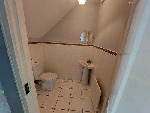 a small bathroom with a toilet and a sink at D13 Self Catering TownHouse in Dublin