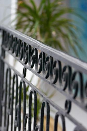 une clôture en métal noir avec une plante en arrière-plan dans l'établissement Maison d'Art, à Quillan