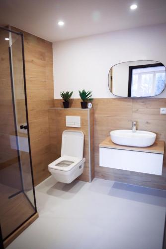 a bathroom with a toilet and a sink and a mirror at Ustroń51 in Ustroń
