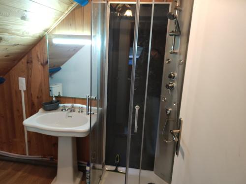 ein Bad mit einem Waschbecken und einer Dusche in der Unterkunft Chambre chez l'habitant " Les Ritières " in Plomeur