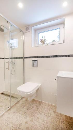 a bathroom with a shower and a toilet and a sink at Domek pod Kogutem in Szklarska Poręba
