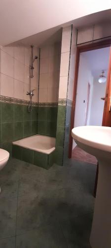 a bathroom with a shower and a tub and a sink at Agroturystyka u Wiesi in Cięcina