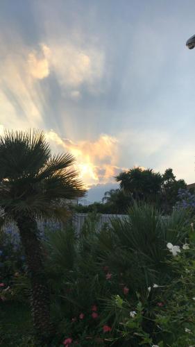 a sunset with a palm tree in a garden at Path House - Etna & Sea View in Riposto
