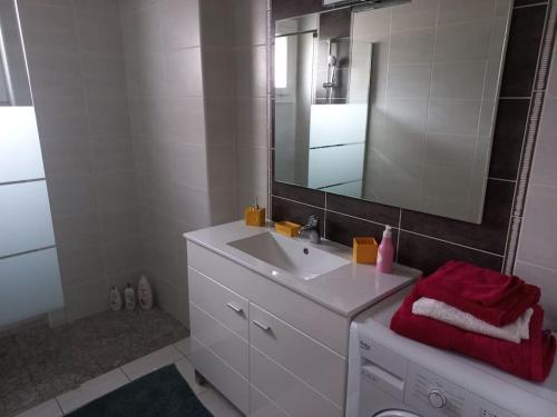 une salle de bain avec un lavabo blanc et un miroir dans l'établissement Appartement dans Villa, à Pau