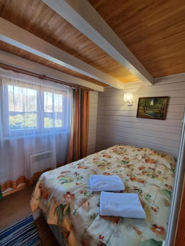 Giường trong phòng chung tại Viesu nams Vecmuiža