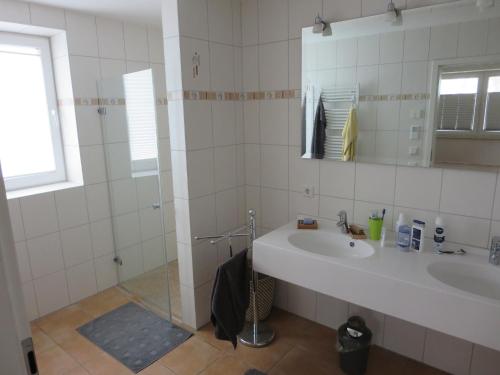 La salle de bains blanche est pourvue d'un lavabo et d'une douche. dans l'établissement Boddenhus, à Bresewitz