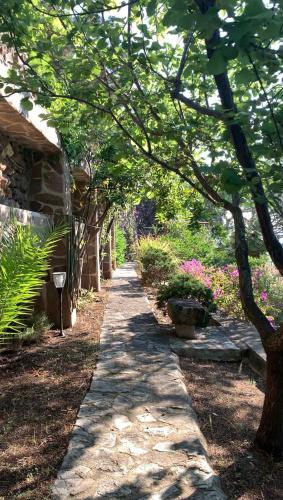 a path in a garden with a tree and flowers at Hotel L'Oasi in Cala Gonone