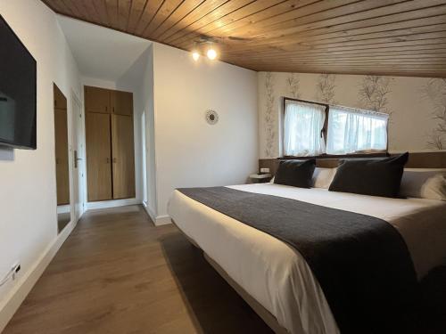 a bedroom with a large bed and a television at Hotel Avelina in Cangas de Onís