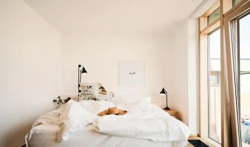 Hotel Haus am Meer photo 3