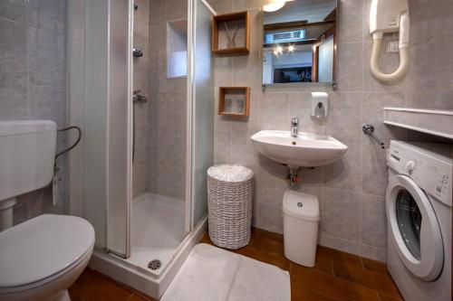 een badkamer met een douche, een toilet en een wastafel bij Apartment Pod Lipom in Roč