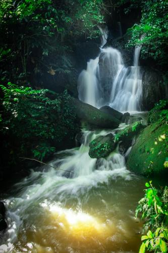 a stream of water in a forest with a waterfall at The Crested Crane Bwindi Hotel in Rugando