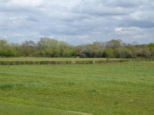 a field of green grass with trees in the background at Honeypot Hideaways Luxury Glamping - Exclusively for Adults in Chester