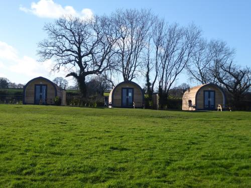 two domes in a field with trees in the background at Honeypot Hideaways Luxury Glamping - Exclusively for Adults in Chester