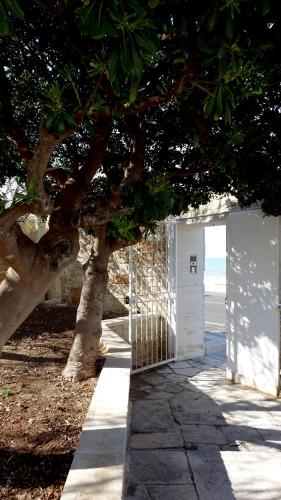La Finestra Sul Mare photo 44