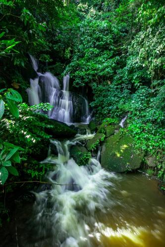 a waterfall in the middle of a forest at The Crested Crane Bwindi Hotel in Rugando