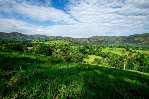 a green hillside with mountains in the background at The Crested Crane Bwindi Hotel in Rugando