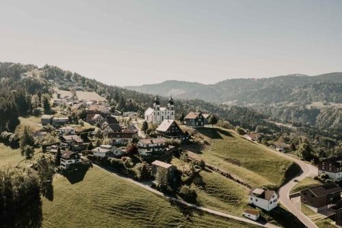 an aerial view of a small town on a hill at Mesmerhaus in Bildstein