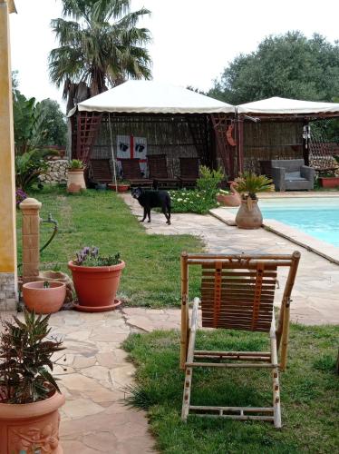 La Luce del Sinis – Photos 4