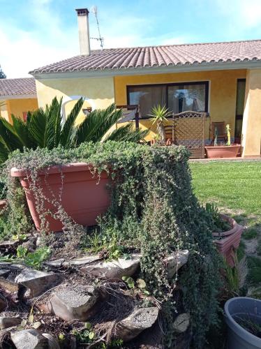 La Luce del Sinis – Photos 3