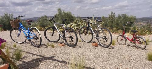 Jízda na kole v ubytování New Leaf Cortijo Apartment ,Moclin nebo okolí