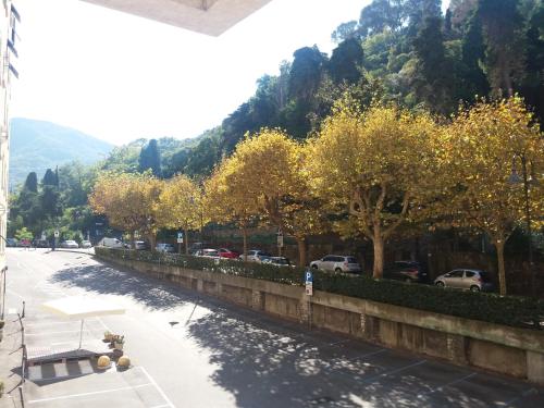 een straat met bomen en auto's geparkeerd op de weg bij Stella Marina in Camogli