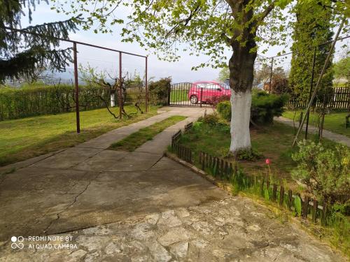 a tree and a red van in a driveway at Dečiji vinogradi Belgrade, Sopot, Kosmaj in Sopot