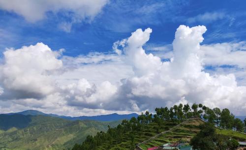 a hill with trees and clouds in the sky at Meraki Huts in Pauri