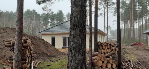 a house in the woods with a pile of logs at Ferienzimmer Waldzauber in Borkwalde