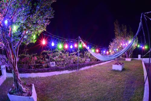 a hammock in a garden at night with lights at TROPICAL HOUSE - Jungleside Villa in Hikkaduwa
